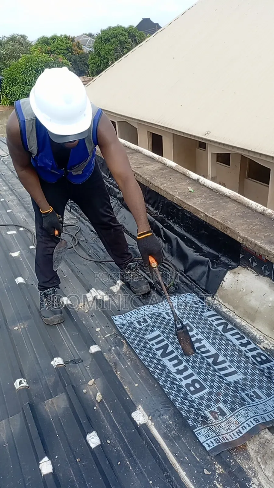 Whitewash Waterproofing Expert