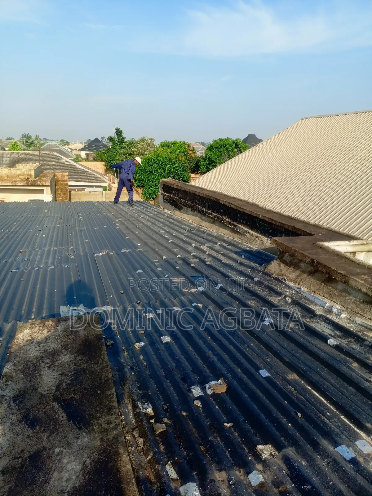 Whitewash Waterproofing Expert