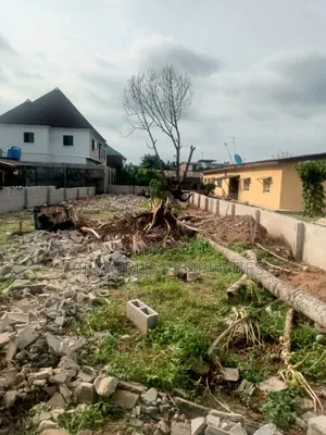 Land Measuring 40 Feet by 120 Feet at New Oko Oba Abule Egba
