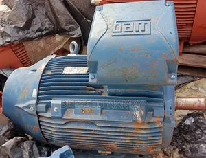 Wag Electric Motor