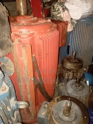 Wag Electric Motor