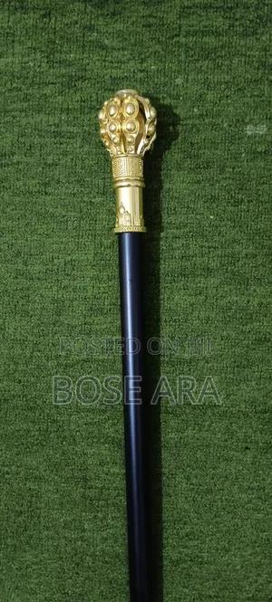 Latest Design Fashion Walking Stick