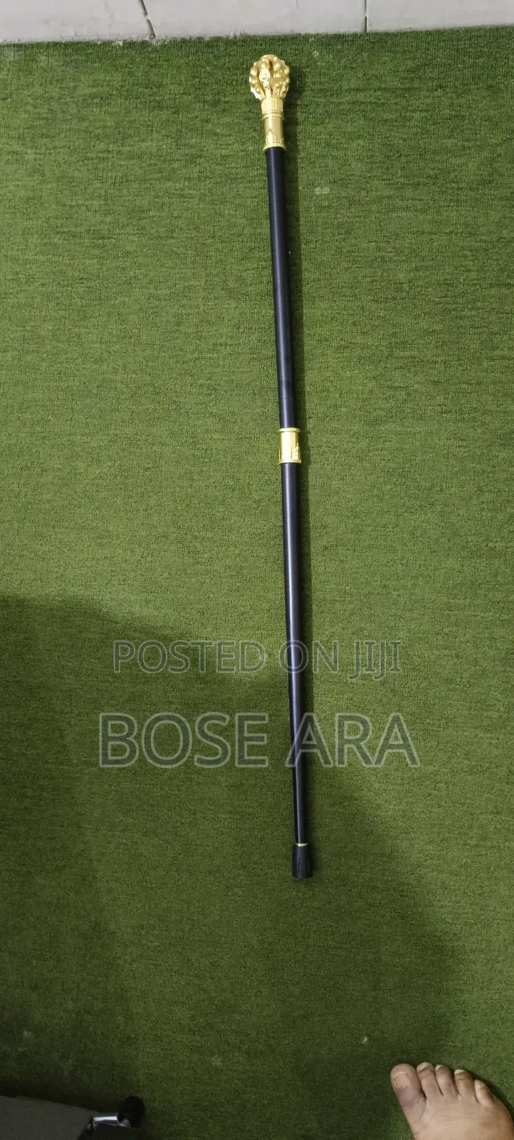 Latest Design Fashion Walking Stick