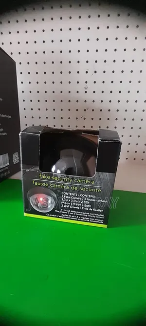 Fake Security Camera