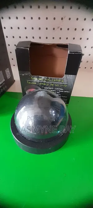Fake Security Camera