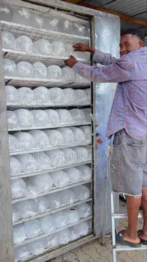 For the 8 Hours Blocking Fast Iceblock Machines Fabrications Call Me