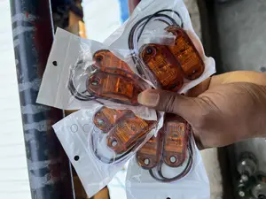Fish Light Small One For Trucks