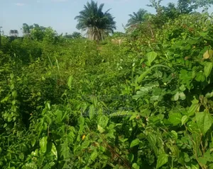 Half Plot of Land for Sale at Gudugbe, Waasinmi, Ewekoro Lga
