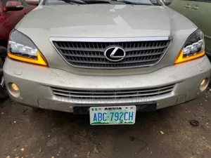 Head Light and Back Light Rx330