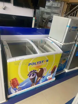 Ice Cream Freezer 300 Liter