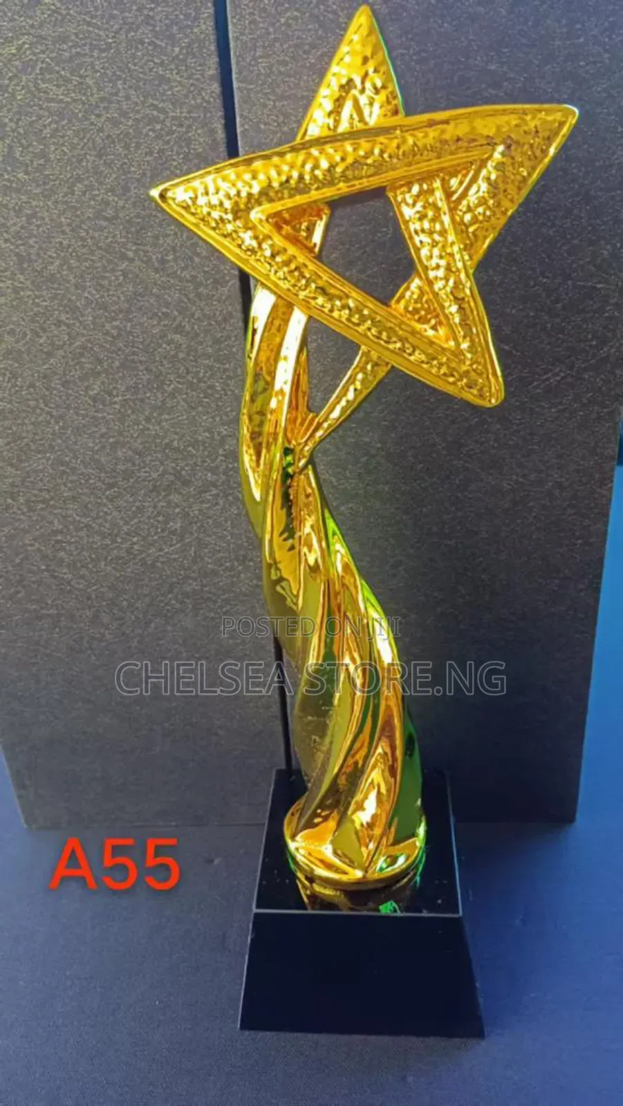 Two Different Trophies Award