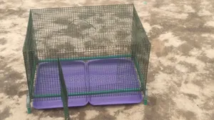 Rabbit/Pet Cage