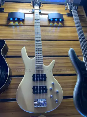 Four Strings Alvarez Bass Guitar