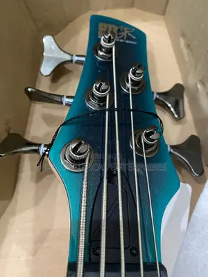 Ibanez Sr305e 5-String Electric Bass Guitar
