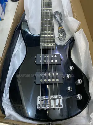 Alvarez 5-String Electric Bass Guitar