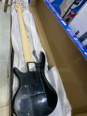 Alvarez 5-String Electric Bass Guitar