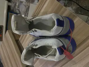Dior Sneakers 