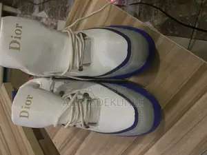 Dior Sneakers 