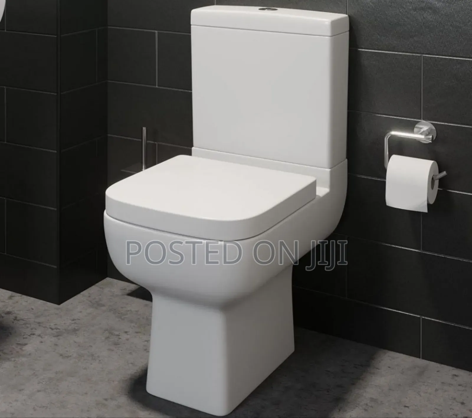 Executive Wc for Master Bathroom