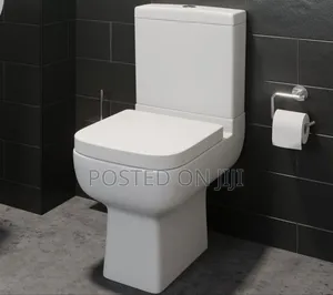 Executive Wc for Master Bathroom