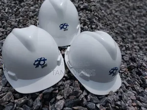 Helmet With Logo Customize