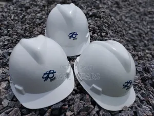 Helmet With Logo Customize