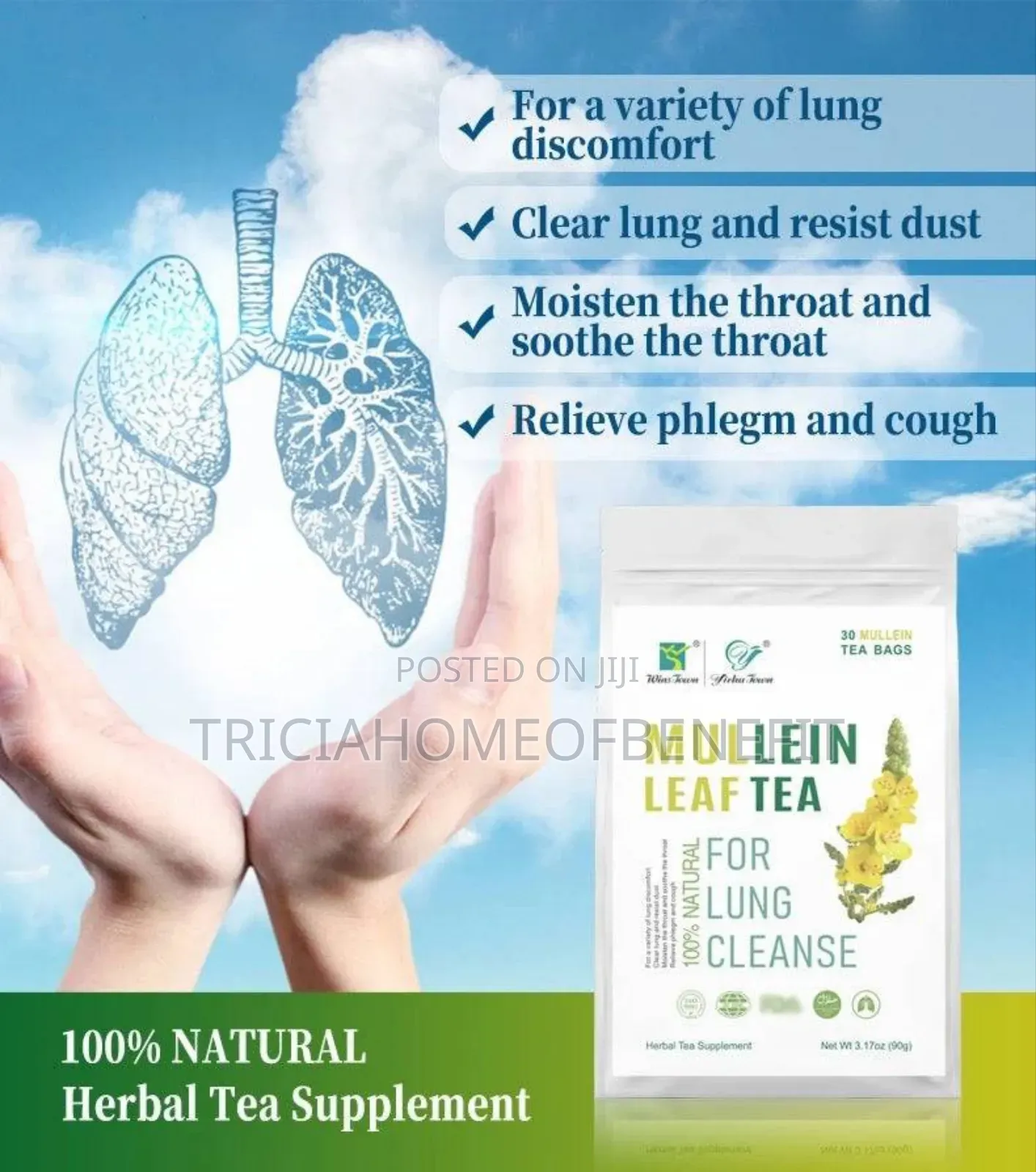 🌿 Mullein Leaf Tea – Natural Lung Cleanser