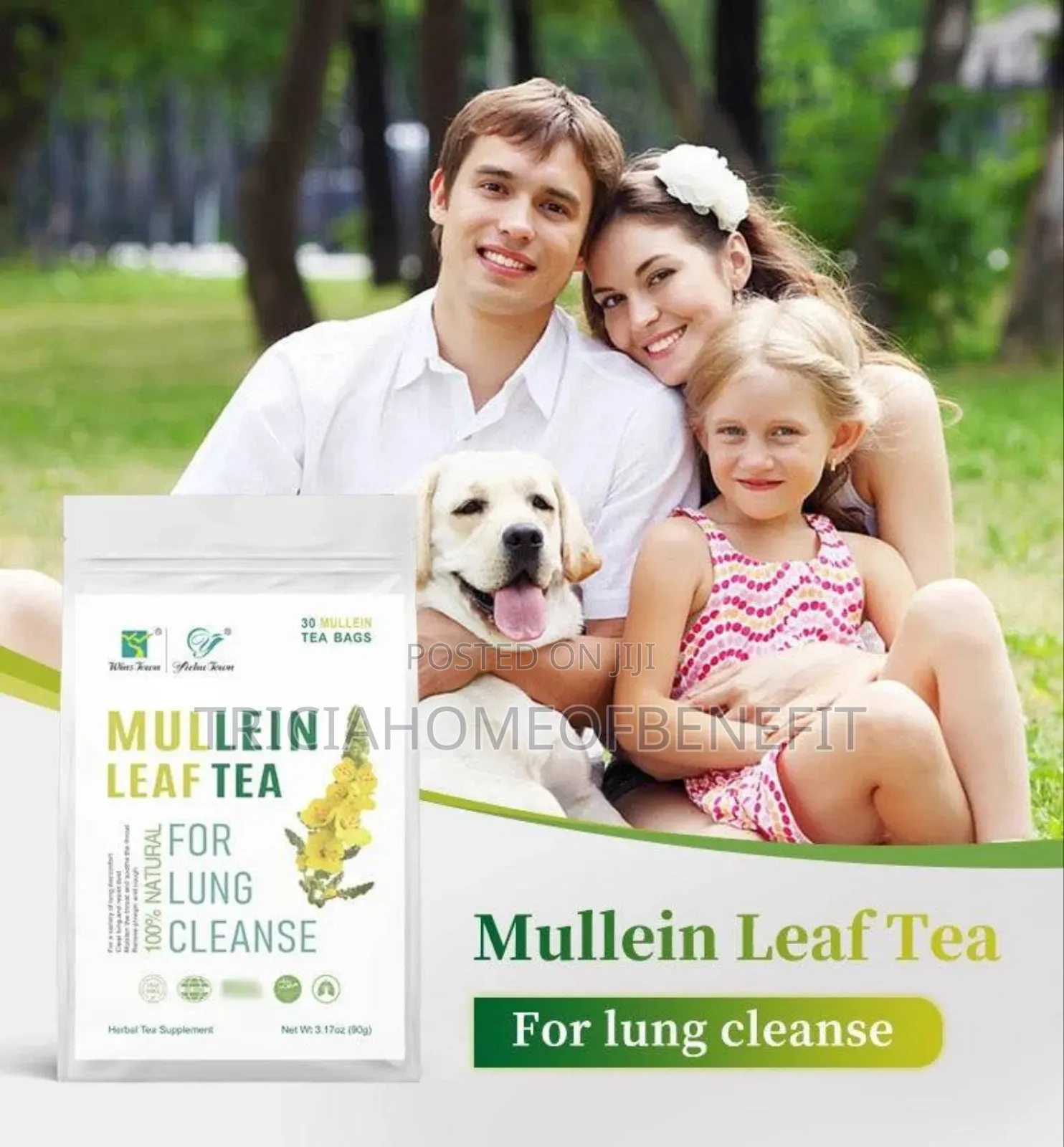 🌿 Mullein Leaf Tea – Natural Lung Cleanser
