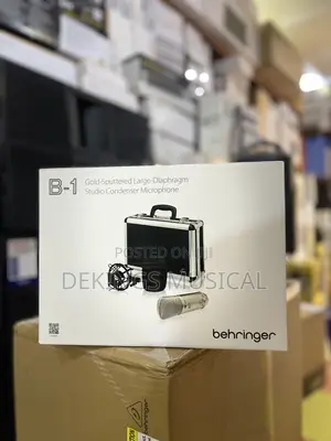 Behringer B-1 Large Diaphragm in Condenser Studio Microphone