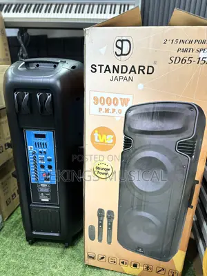 Professional Standard Japan Double 15 Rechargeable Wireless Pa System