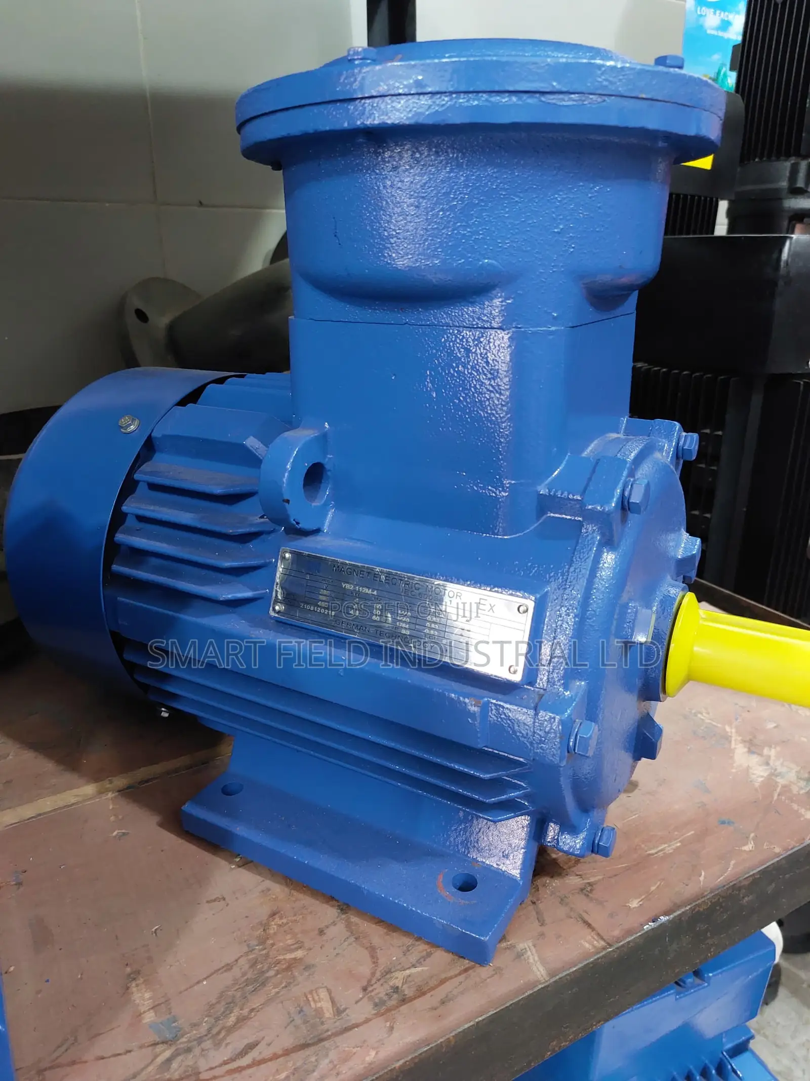 Magnet Frame Proof Motor