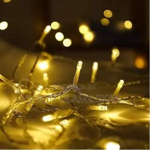 Festive Glow 100 Multi-Function Led Christmas Light - 1pc
