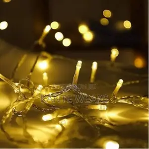 Festive Glow 100 Multi-Function Led Christmas Light - 1pc