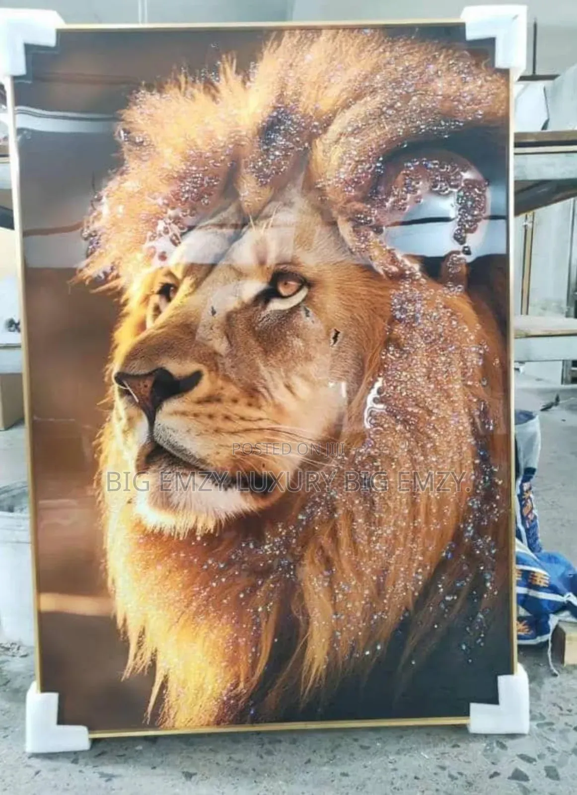 60x120cm Led Frame Light