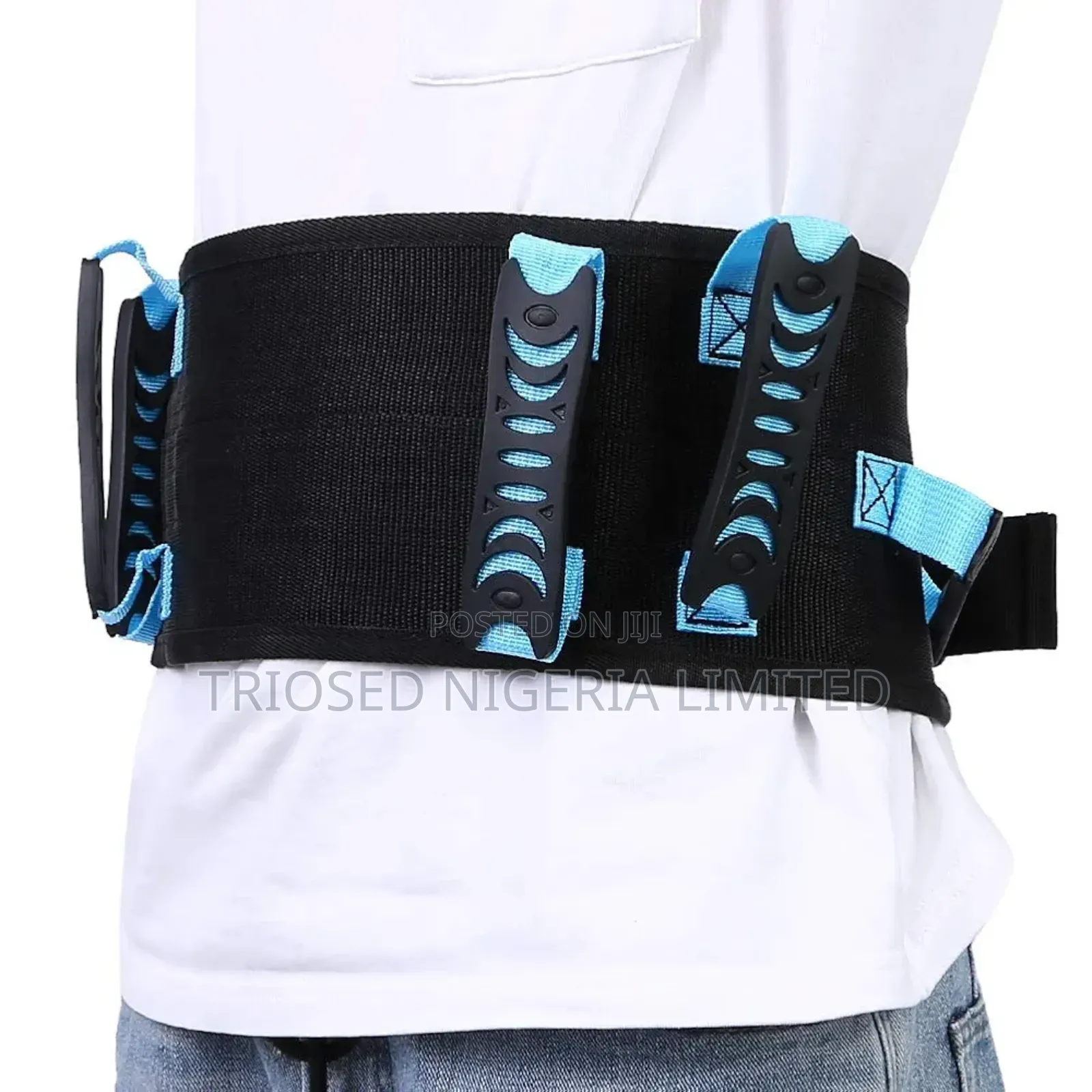 Transfer Belt