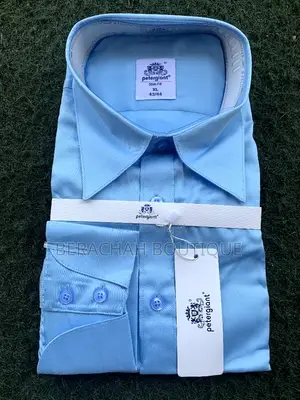 Petergaint Men Offices Shirts