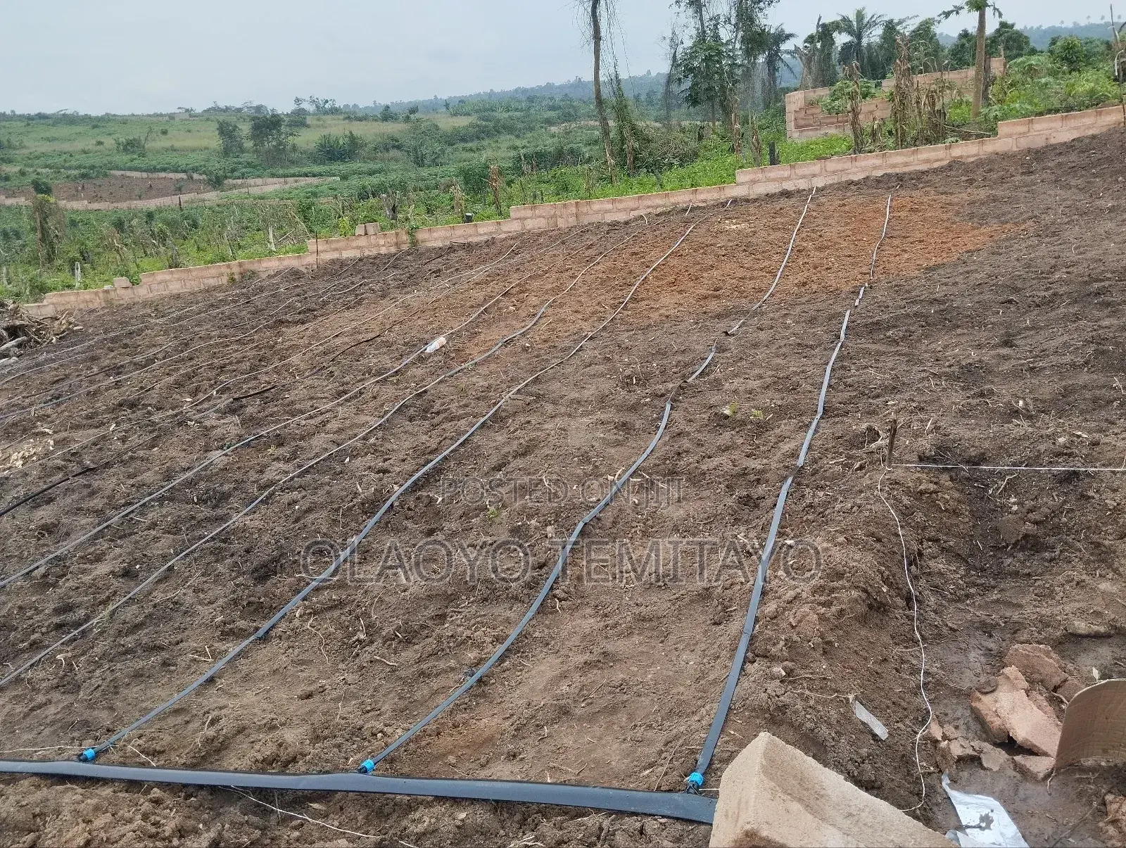 Irrigation Drip Tape
