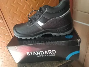 Standard Safety Boot Or Shoe