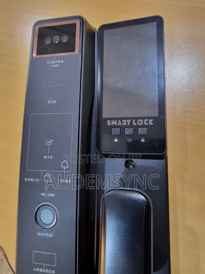 Intelligent Wishome Smart Lock