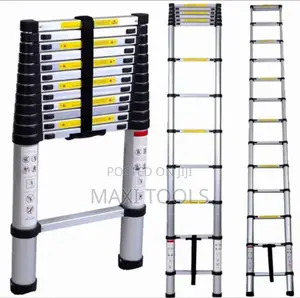 Extension Aluminum Ladder 12 Steps