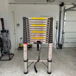 Extension Aluminum Ladder 12 Steps