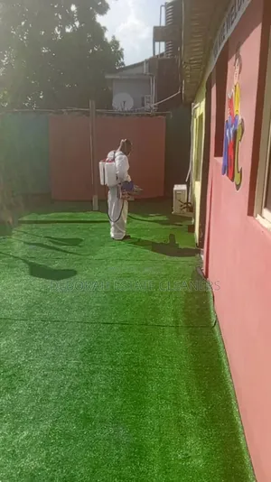 Abuja Best Carpet Grass Installers