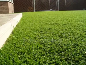 Abuja Best Carpet Grass Installers