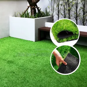 Absolute Best Carpet Grass Installation