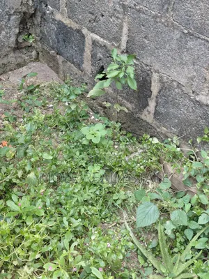 2 Plots Facing Leki Epe Expressway Lakowe
