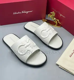 Ferragamo Slippers for Men