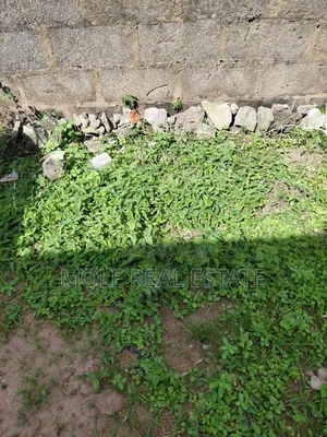30ft / 90ft Plot With Perimeter Fence By Bustop Ikotun