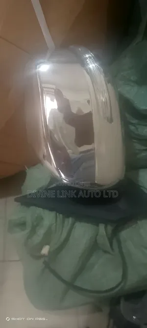 Side Mirror for Toyota Parado