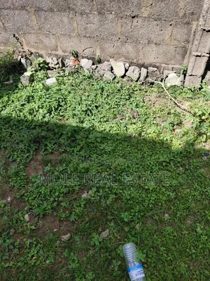 1506 Residential Plot Gowon Estate Egbeda Fha