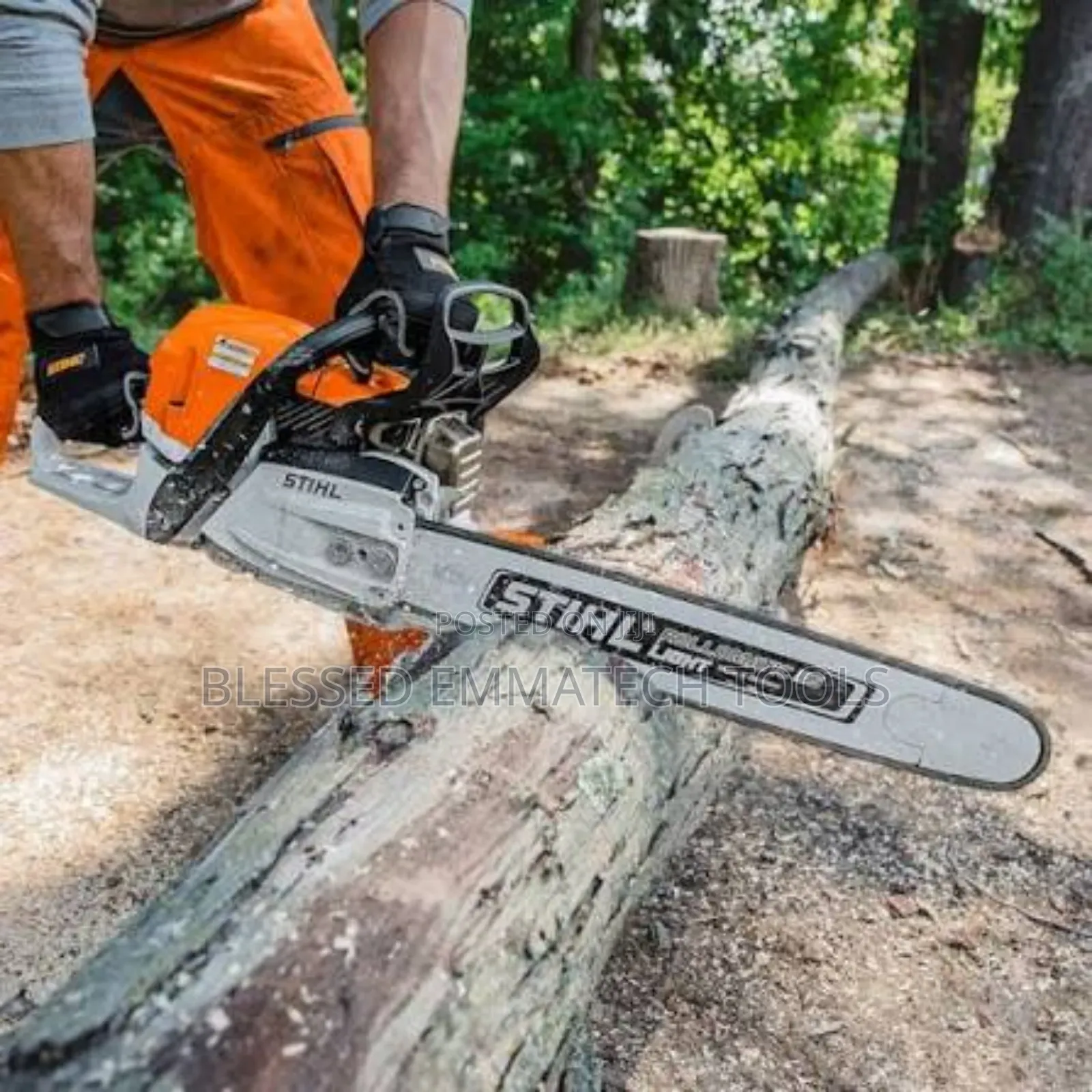 Fcg  Stithl  Chain Saw Machine